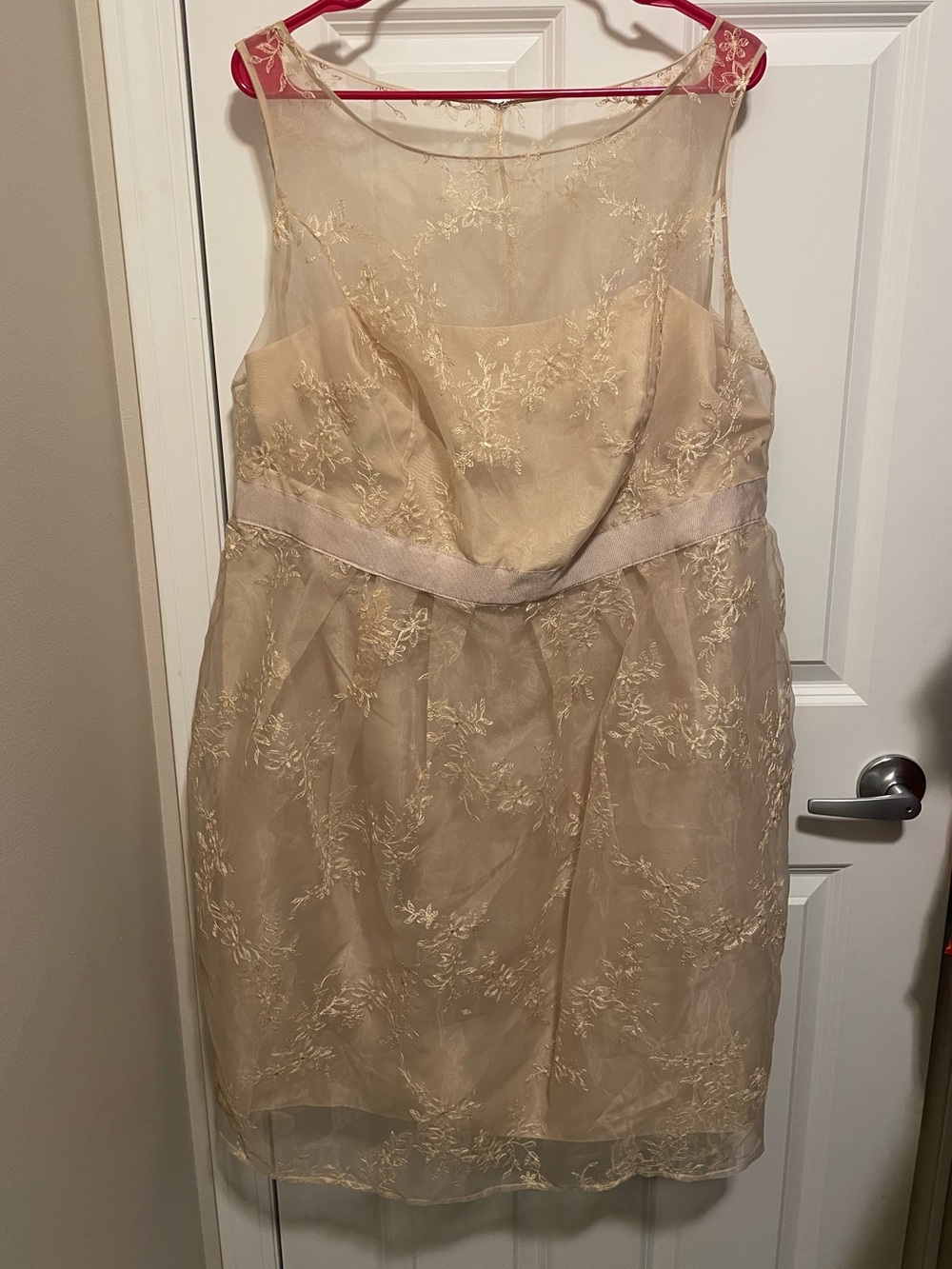 Short Sleeveless Organza Dress with Embroidery Size 18